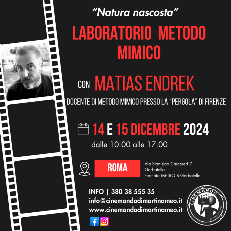 Masterclass Metodo Mimico con Matias Endrek